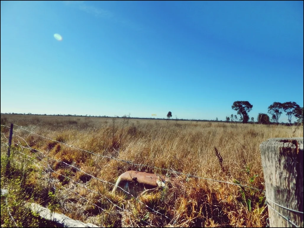 Additional image 7 of Lot 24 Rodney Road, Millmerran QLD 4357