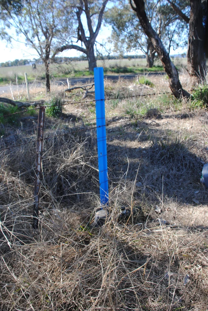 Additional image 19 of 443 Wirrimah Road,Bendick Murrell, Wirrimah NSW 2803