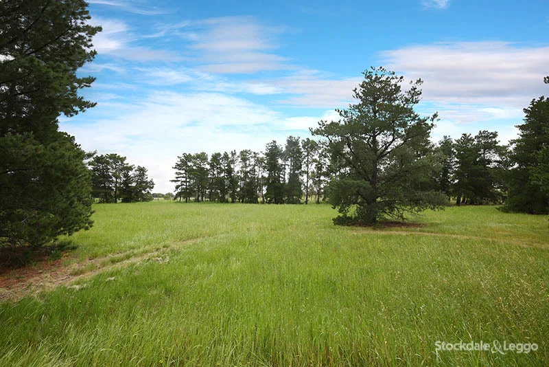 Additional image 11 of 110 Asher Rd, Lovely Banks VIC 3213