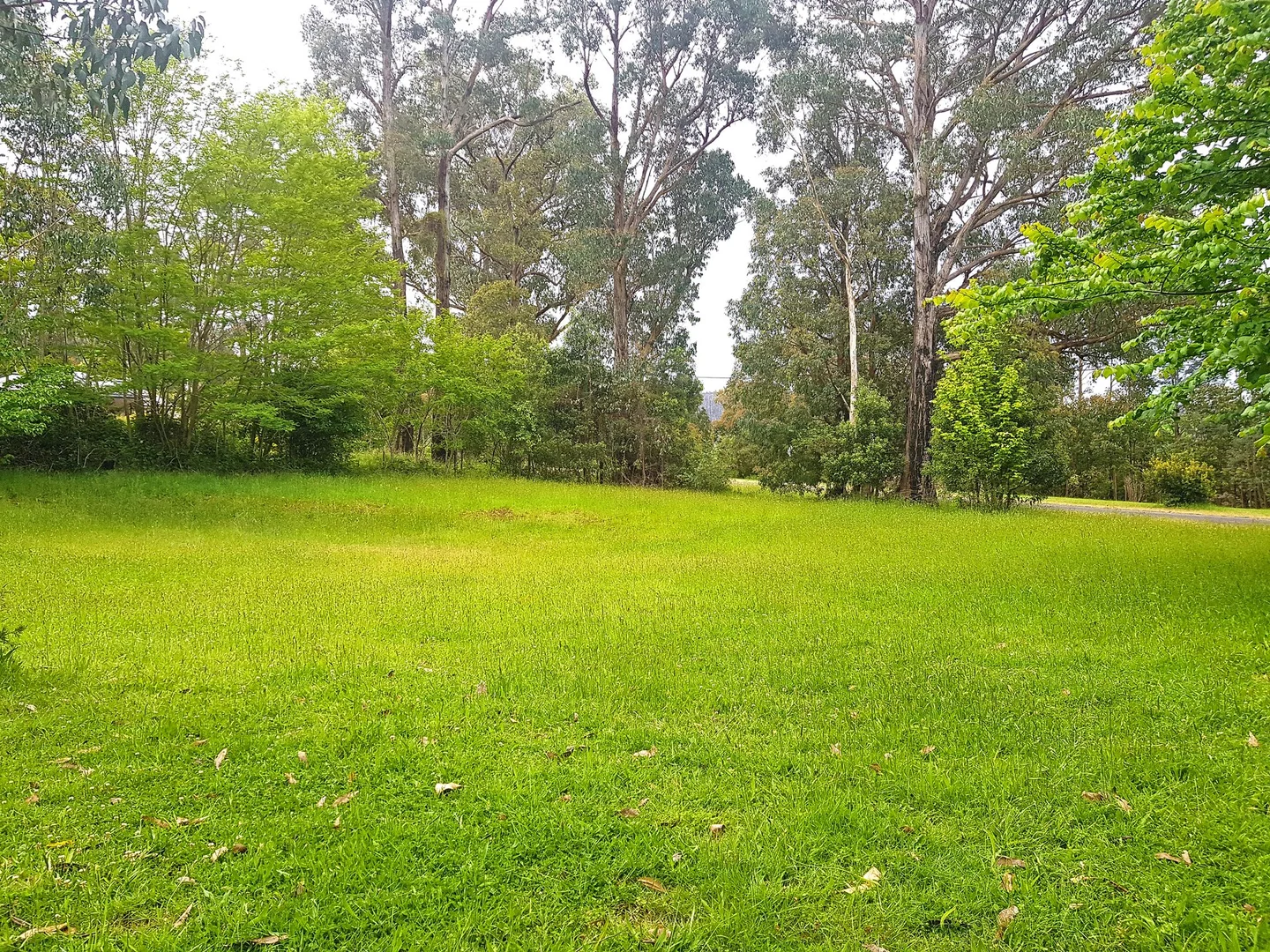 Additional image 4 of 20 KINGS ROAD, Marysville VIC 3779