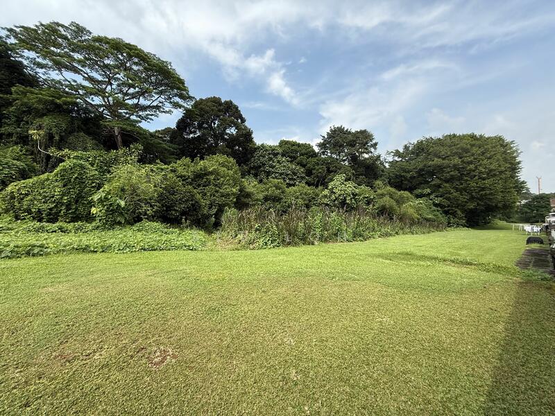 Additional image 10 of SPRINGLEAF, THONG SOON, UPP THOMSON