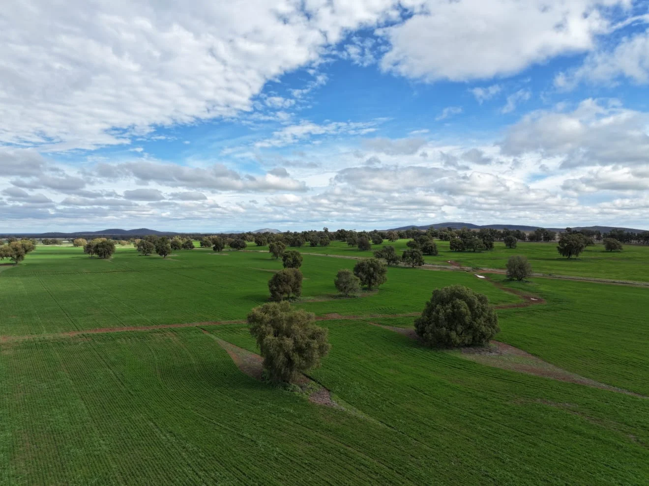 Additional image 6 of "Roseleigh" Roseleigh Road, Trundle NSW 2875