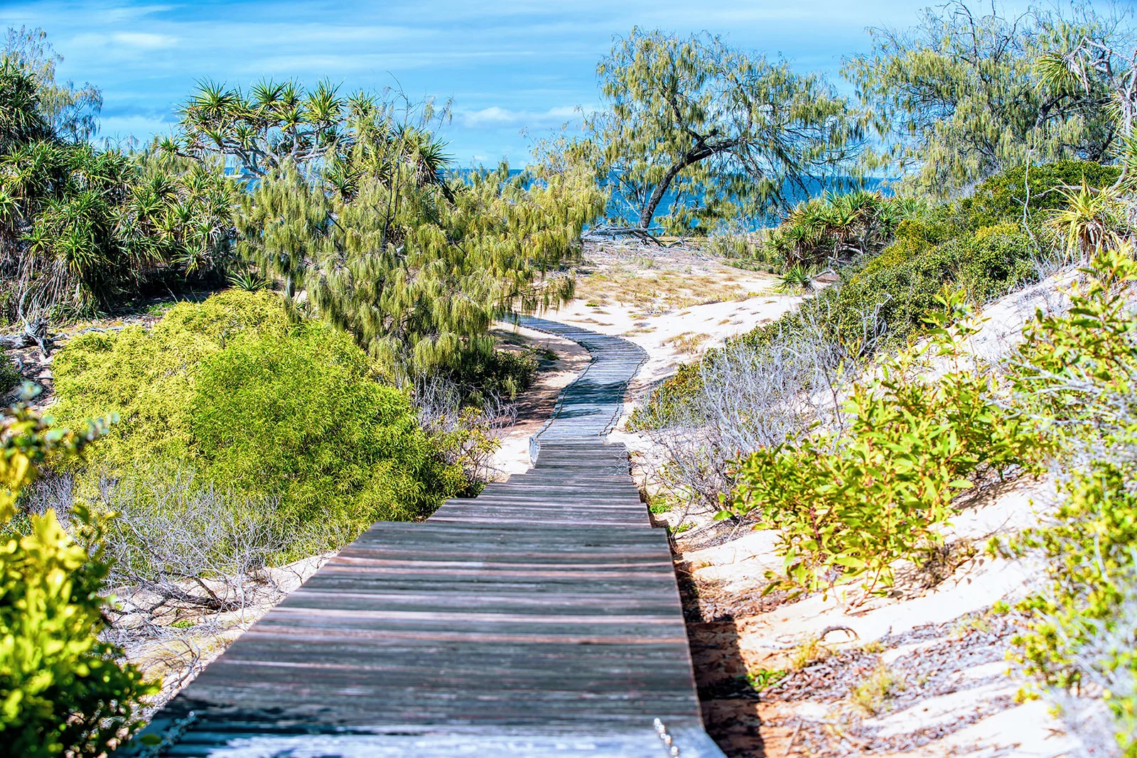 Additional image 16 of Lot 70 Sunrise Close, Agnes Water QLD 4677