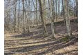 Additional image 30 of Timber Dr Lot 10, Cochecton, NY, 12726