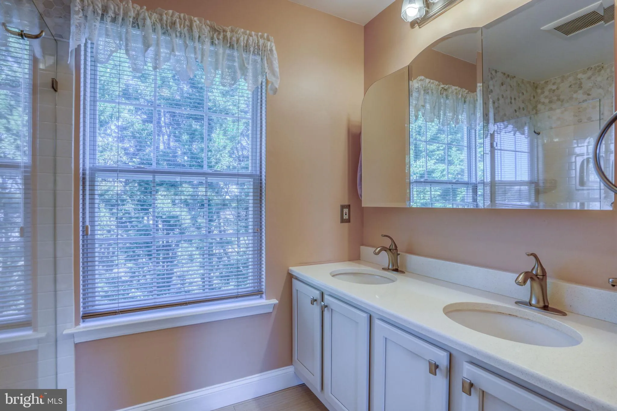 Additional image 86 of 163 Middessa Drive, Middletown, DE 19709