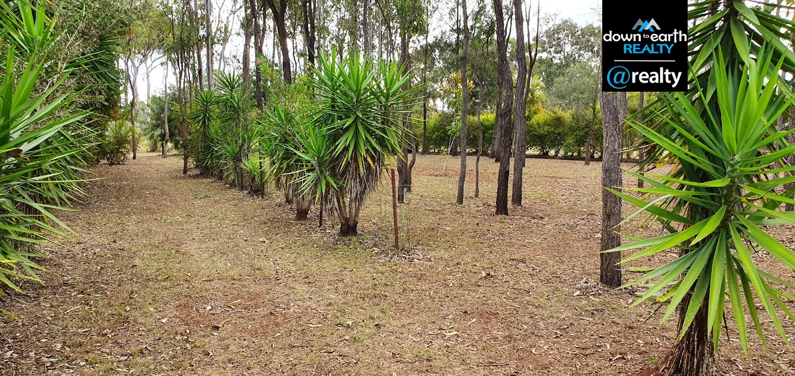 Additional image 57 of 161 River Road, Millstream QLD 4888