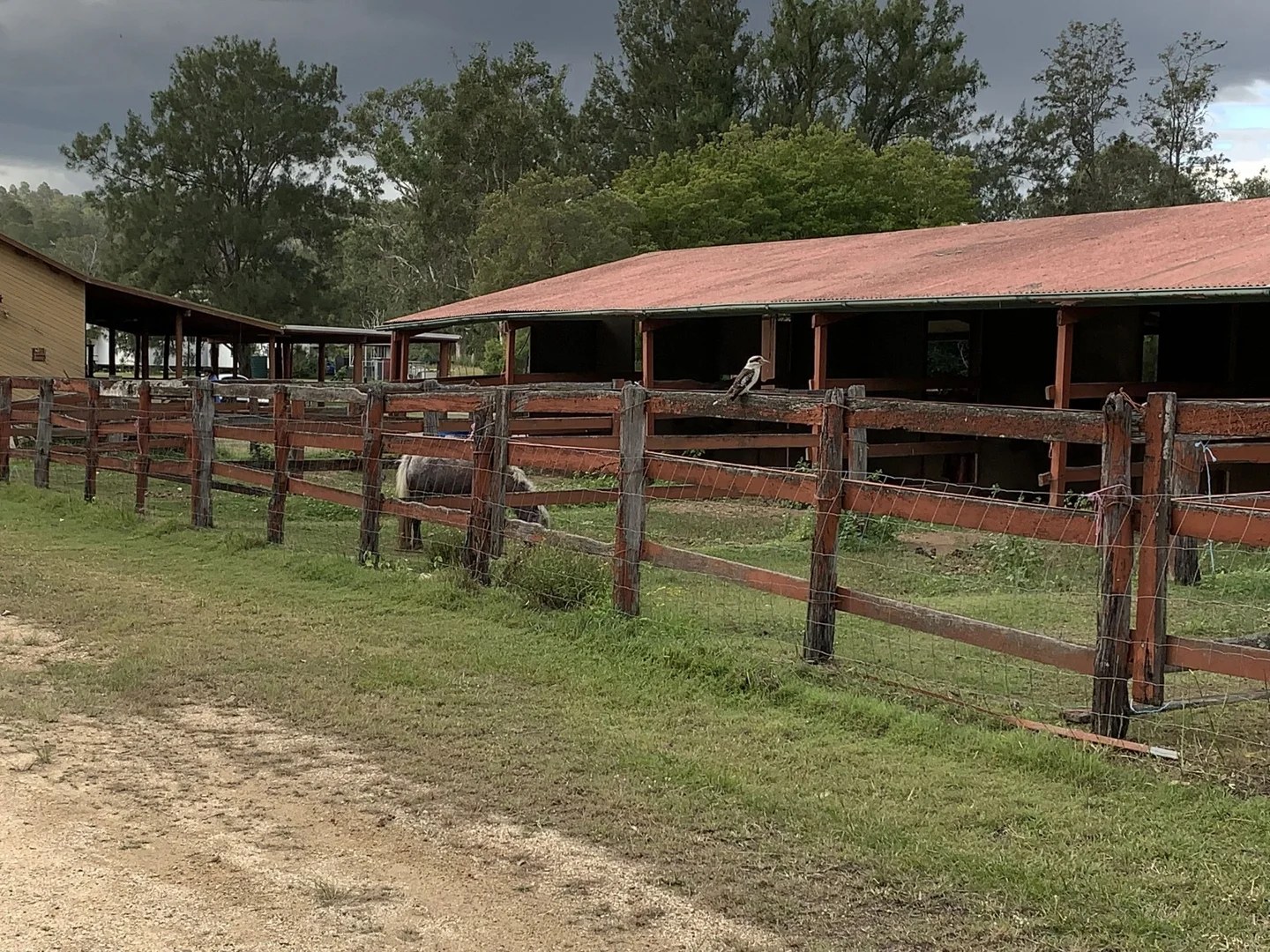 Additional image 14 of 79B Ogilvie Place, Kooralbyn QLD 4285