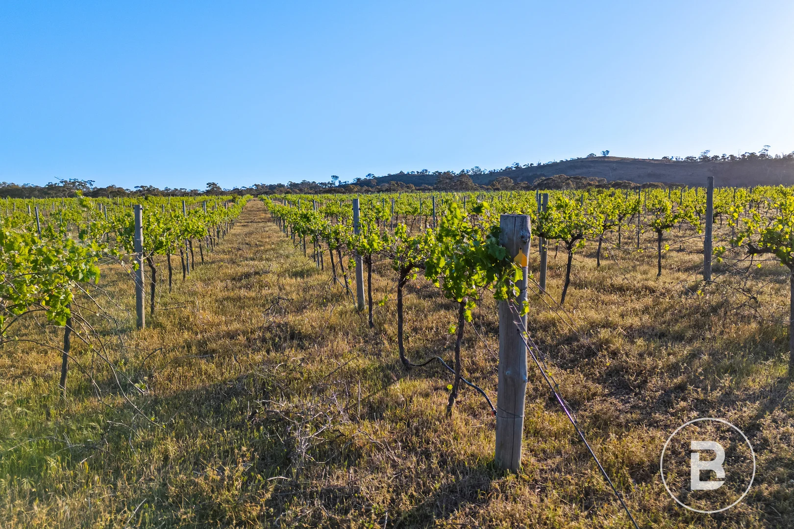 Additional image 7 of 194 Rifle Butts Road, Landsborough VIC 3384