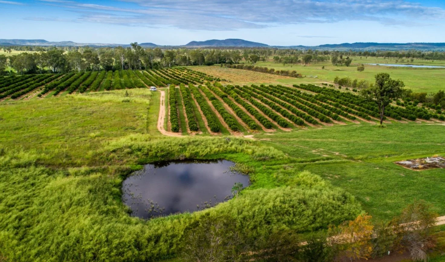 Additional image 20 of Reids Creek QLD 4625