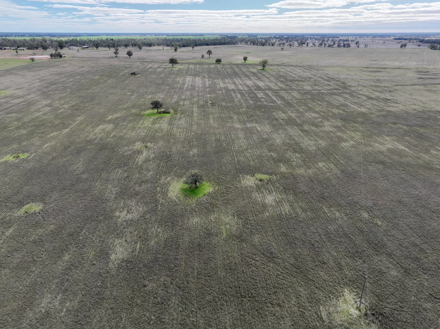 Additional image 17 of 'Weemala' 2075 The McGrane Way, Tullamore NSW 2874