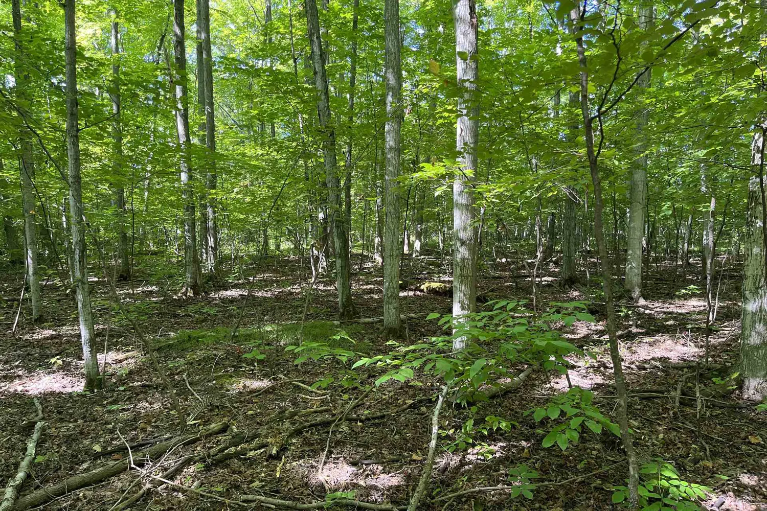 Additional image 15 of 122 Ivy Ridge Road