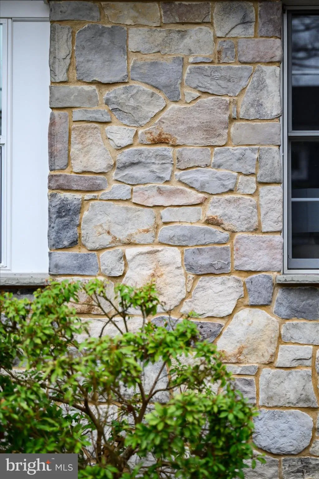 Additional image 9 of 701 Bayard Avenue, Rehoboth Beach, DE 19971