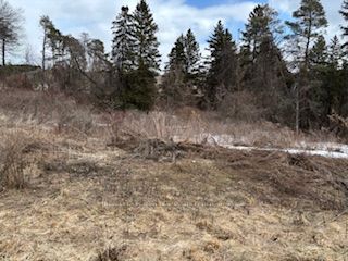 Additional image 3 of 937054 Airport Road, Mulmur, ON, L9V 0L6