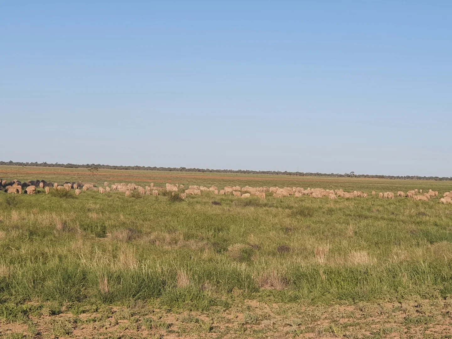 Additional image 7 of 1906 Burrawantie Road, Enngonia NSW 2840