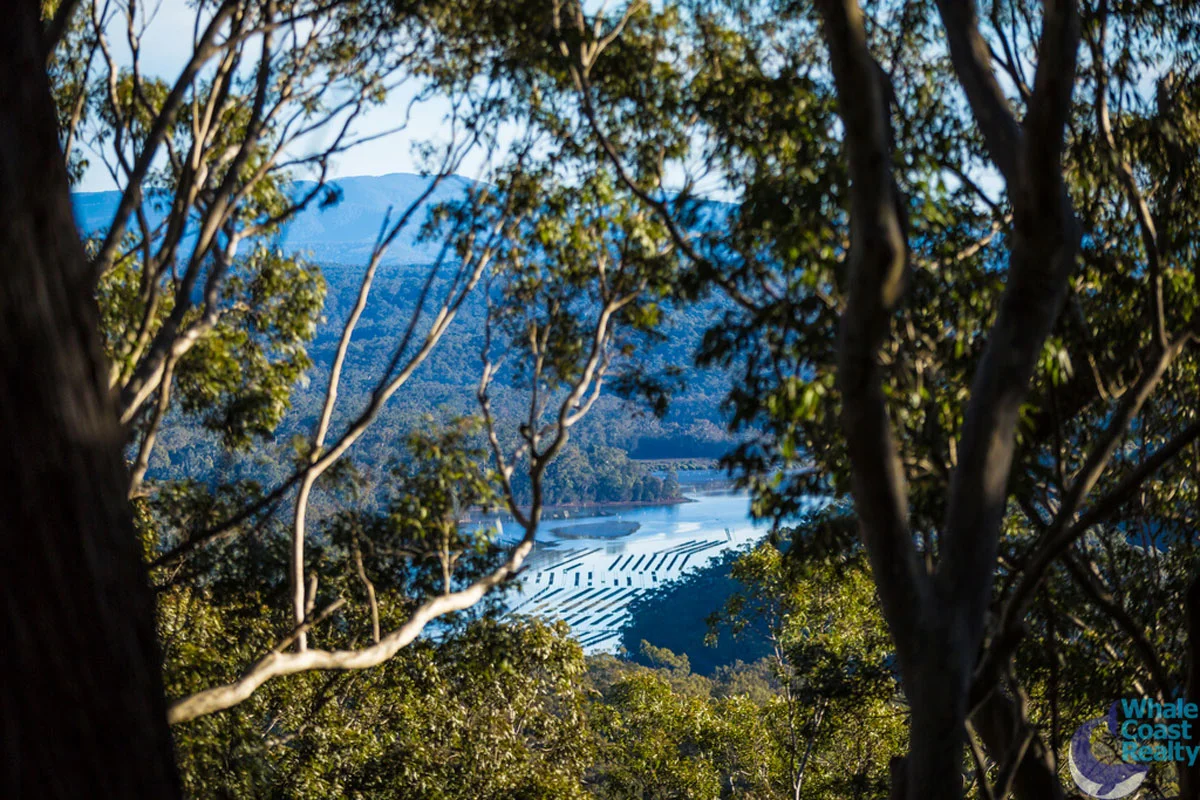 Additional image 8 of 100 Hobbs Point Road, Narooma NSW 2546