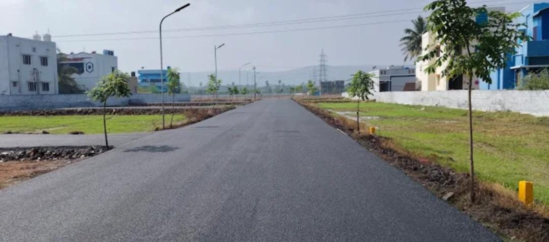 Additional image 2 of Paravai, Madurai