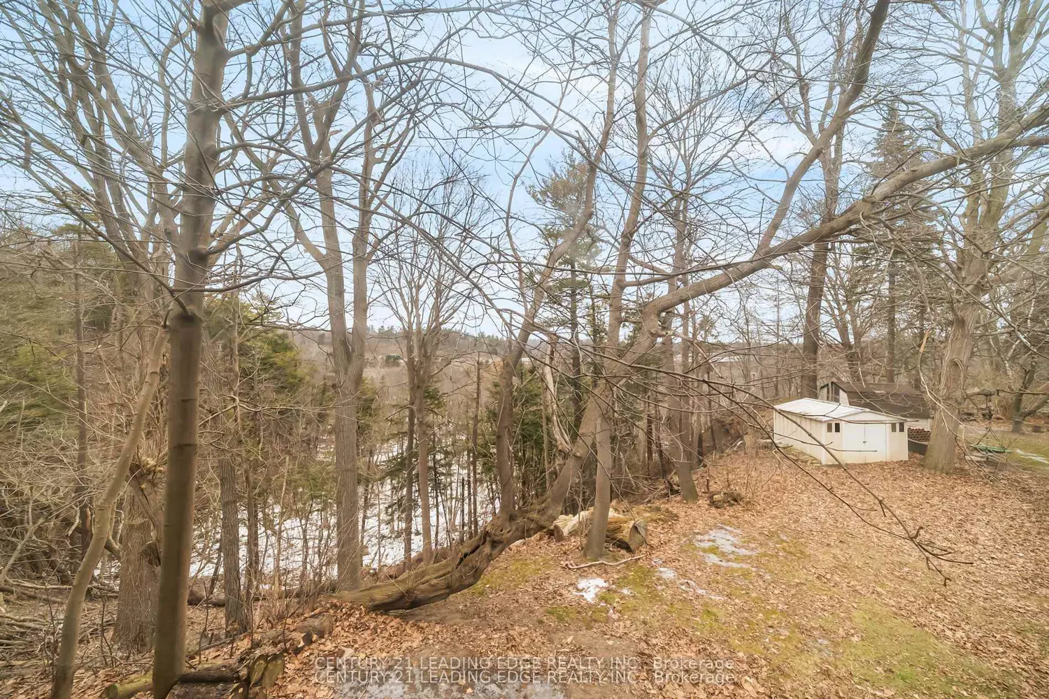 Additional image 15 of 541 Rouge Hills Drive