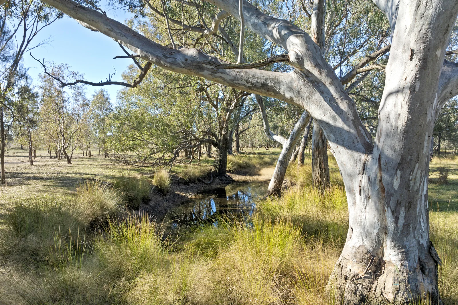 Additional image 21 of CA 64 Cullens Road, Molka VIC 3666