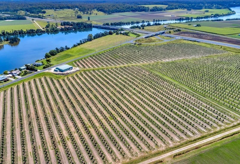 Additional image 21 of 396 Chatsworth Road, Chatsworth NSW 2469