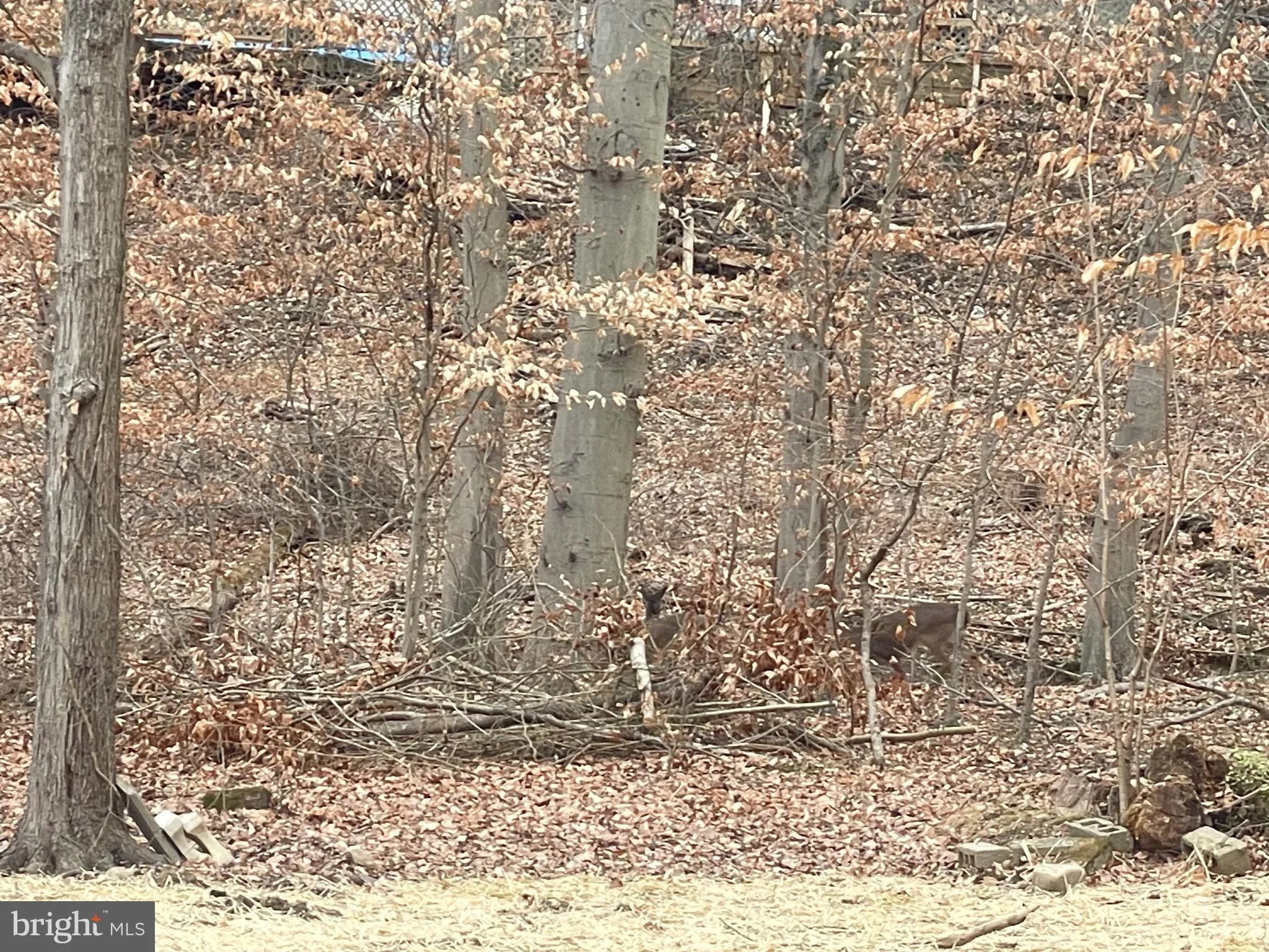 Additional image 66 of 43 The Horseshoe, Newark, DE 19711