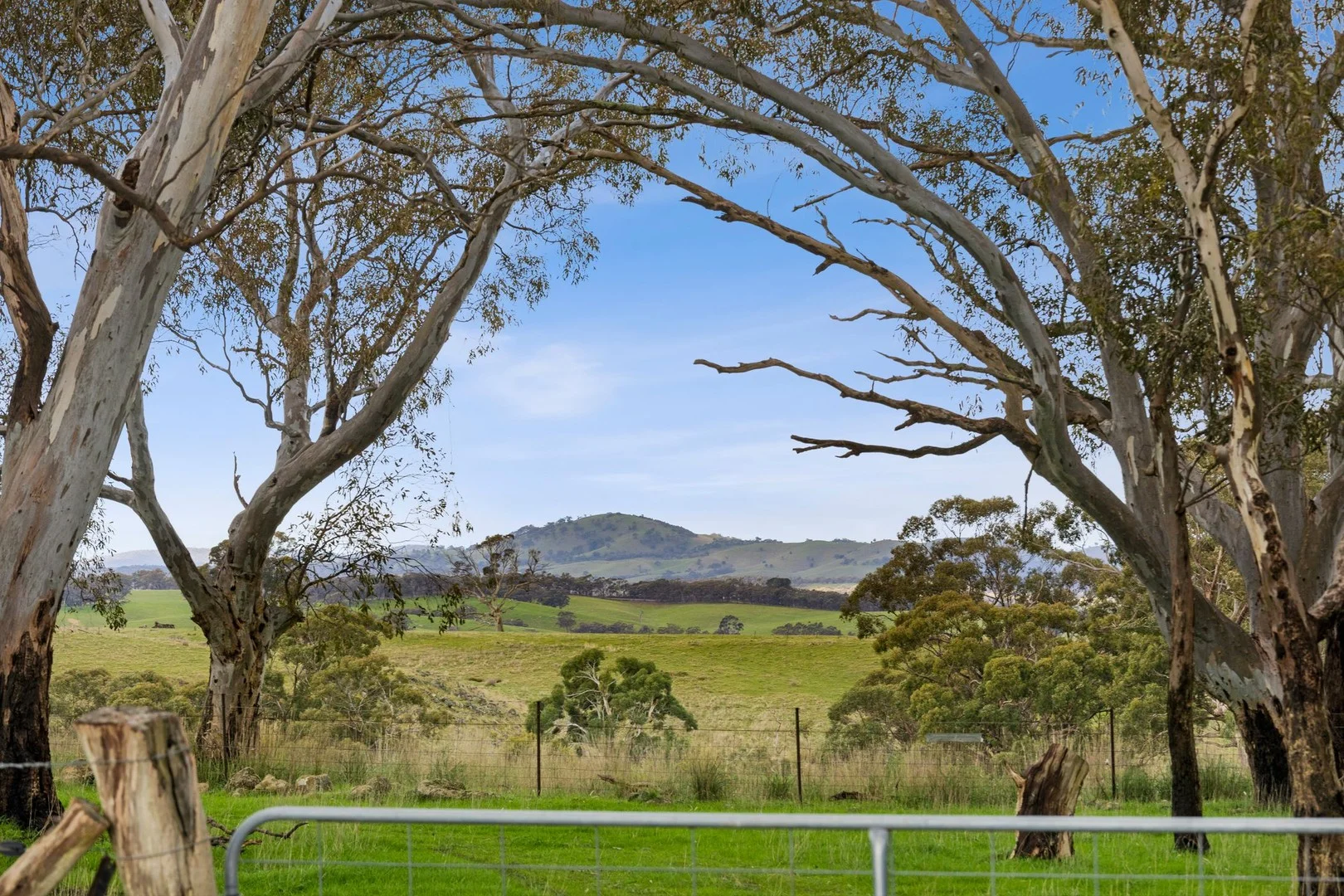 Additional image 3 of 135 Andersons Lane, Glenhope VIC 3444