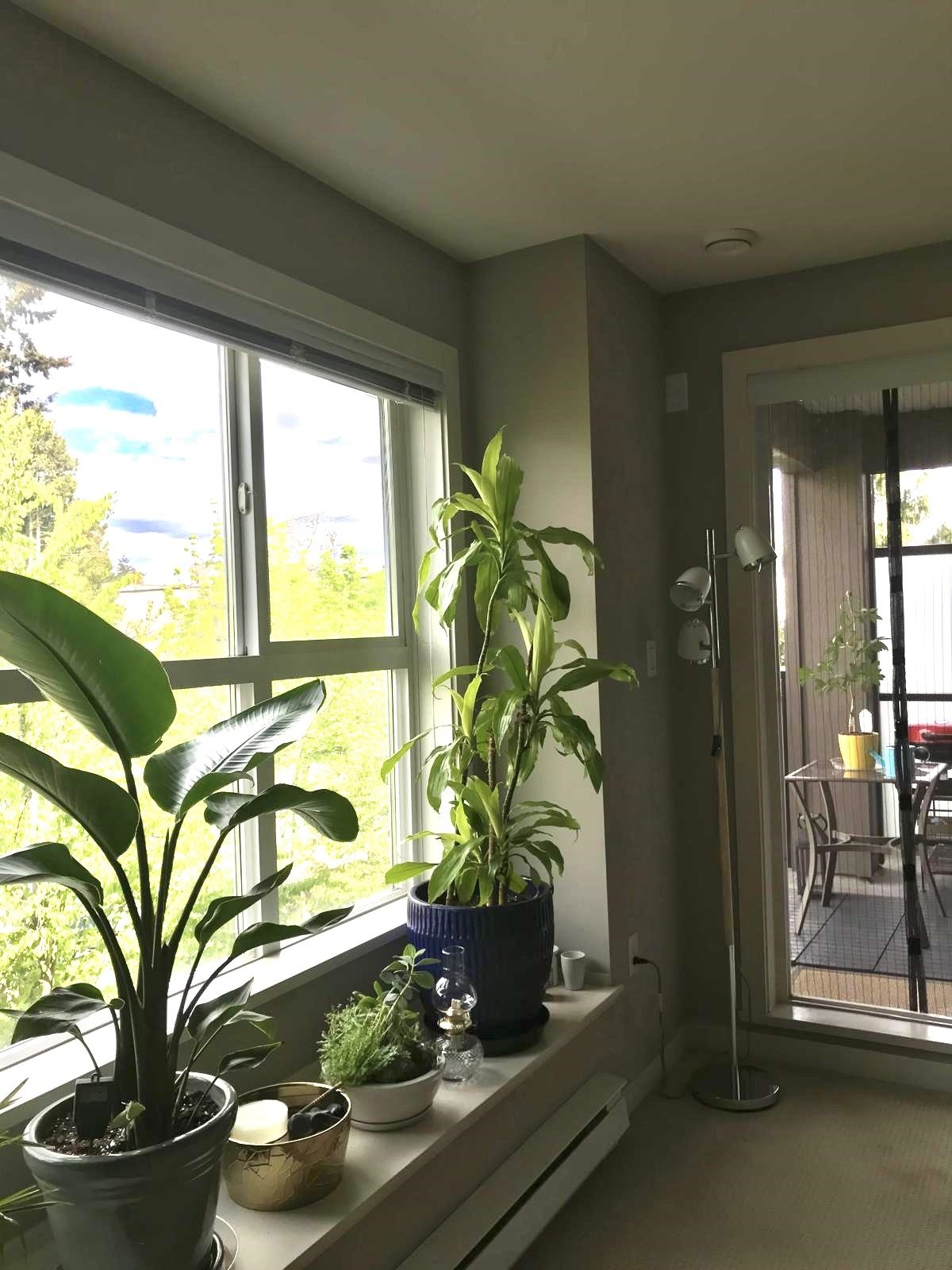 Additional image 5 of 314-5889 Irmin Street, Burnaby, BC, V5J 0C1