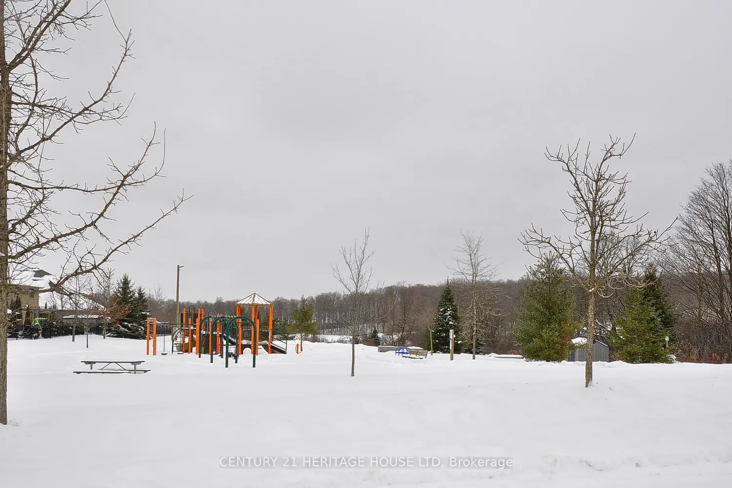 Additional image 20 of 541 Sundew Drive