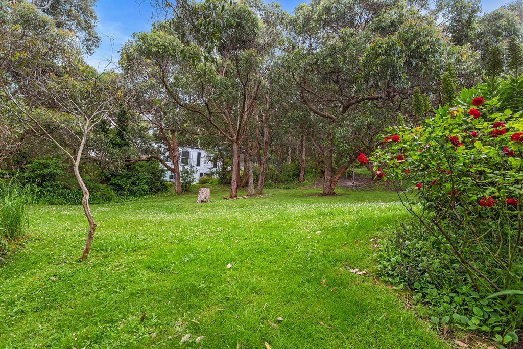 Additional image 9 of 13 Old Coach Road, Skenes Creek VIC 3233