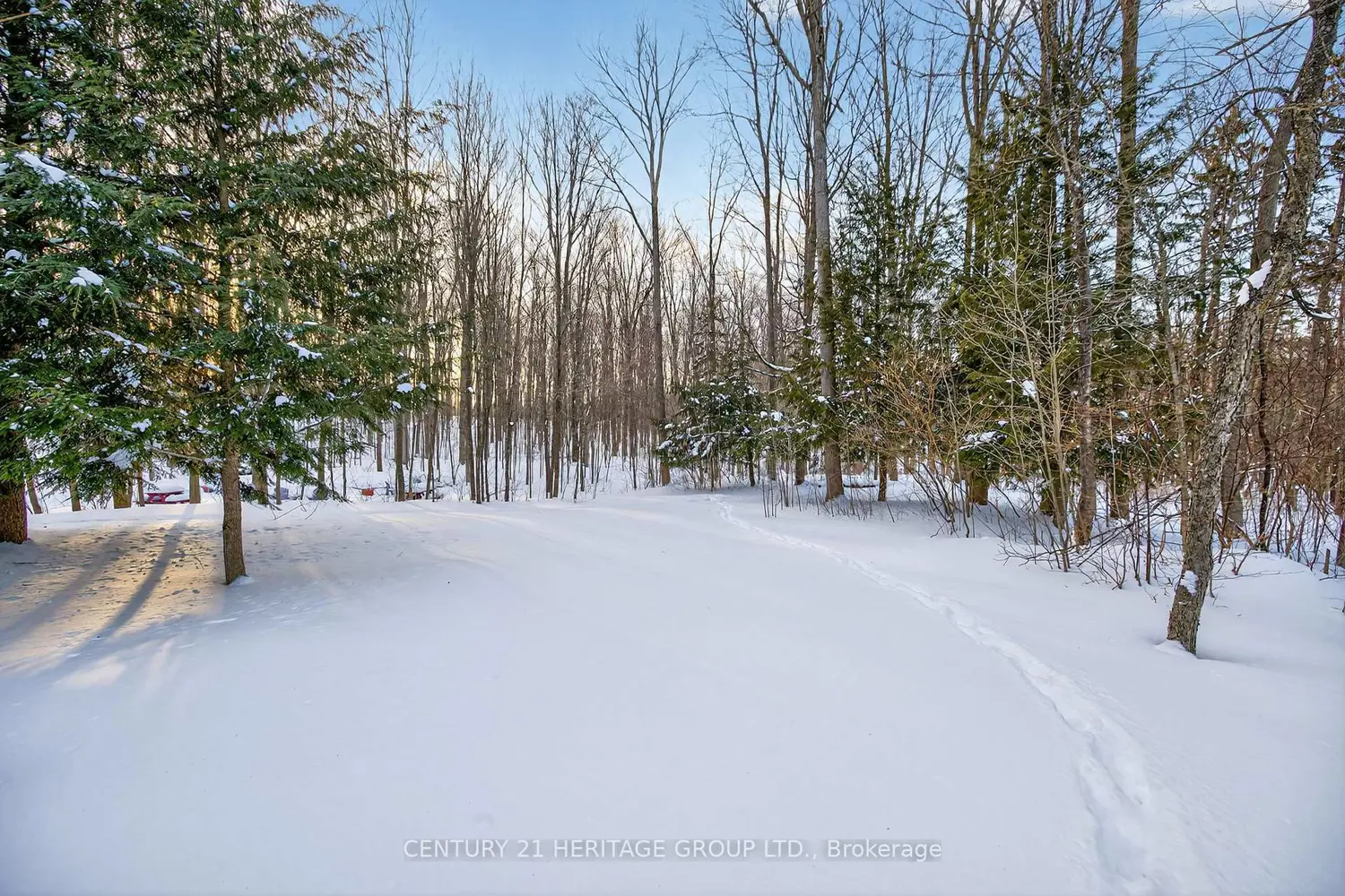 Additional image 19 of 4074 St. John's Side Road