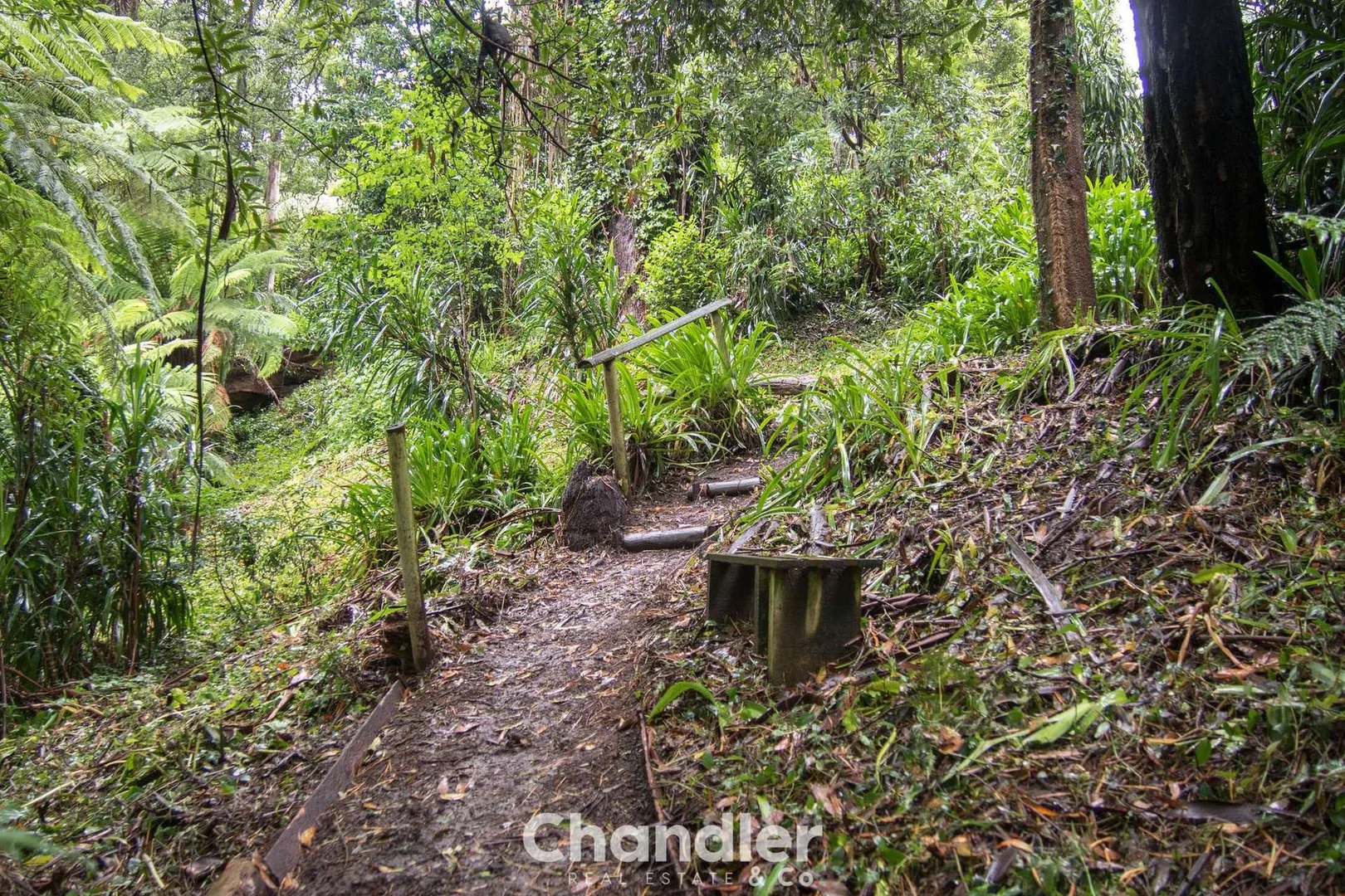 Additional image 3 of 85 Kallista - Emerald Road, The Patch VIC 3792