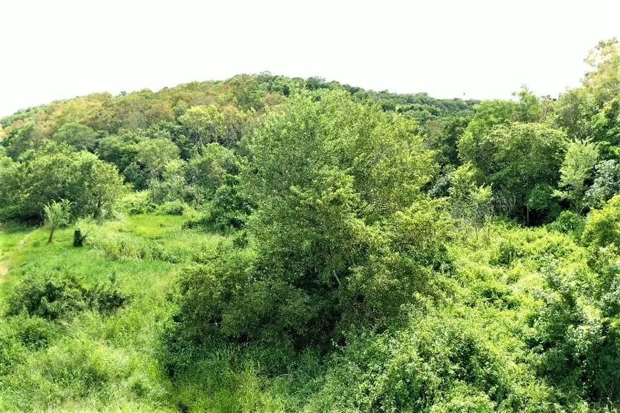 Additional image 14 of 179 Barclays Road, Dumbleton QLD 4740