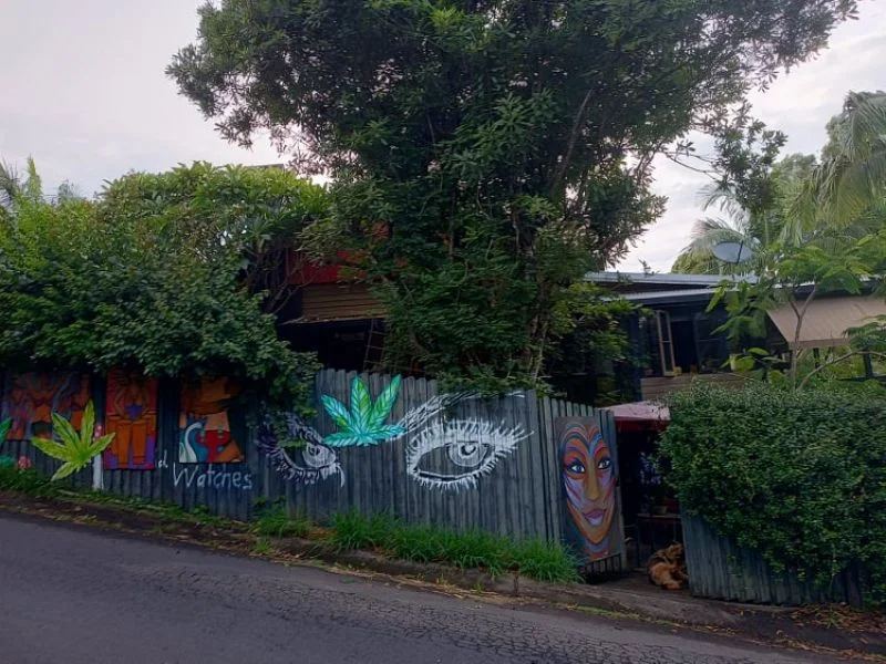 Additional image 11 of 44 Cullen Street, Nimbin NSW 2480