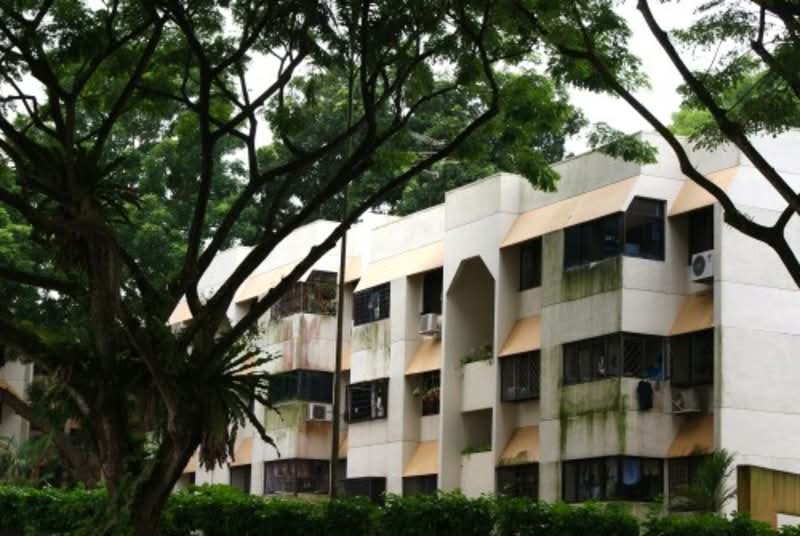 Additional image 7 of 56 Cashew Road