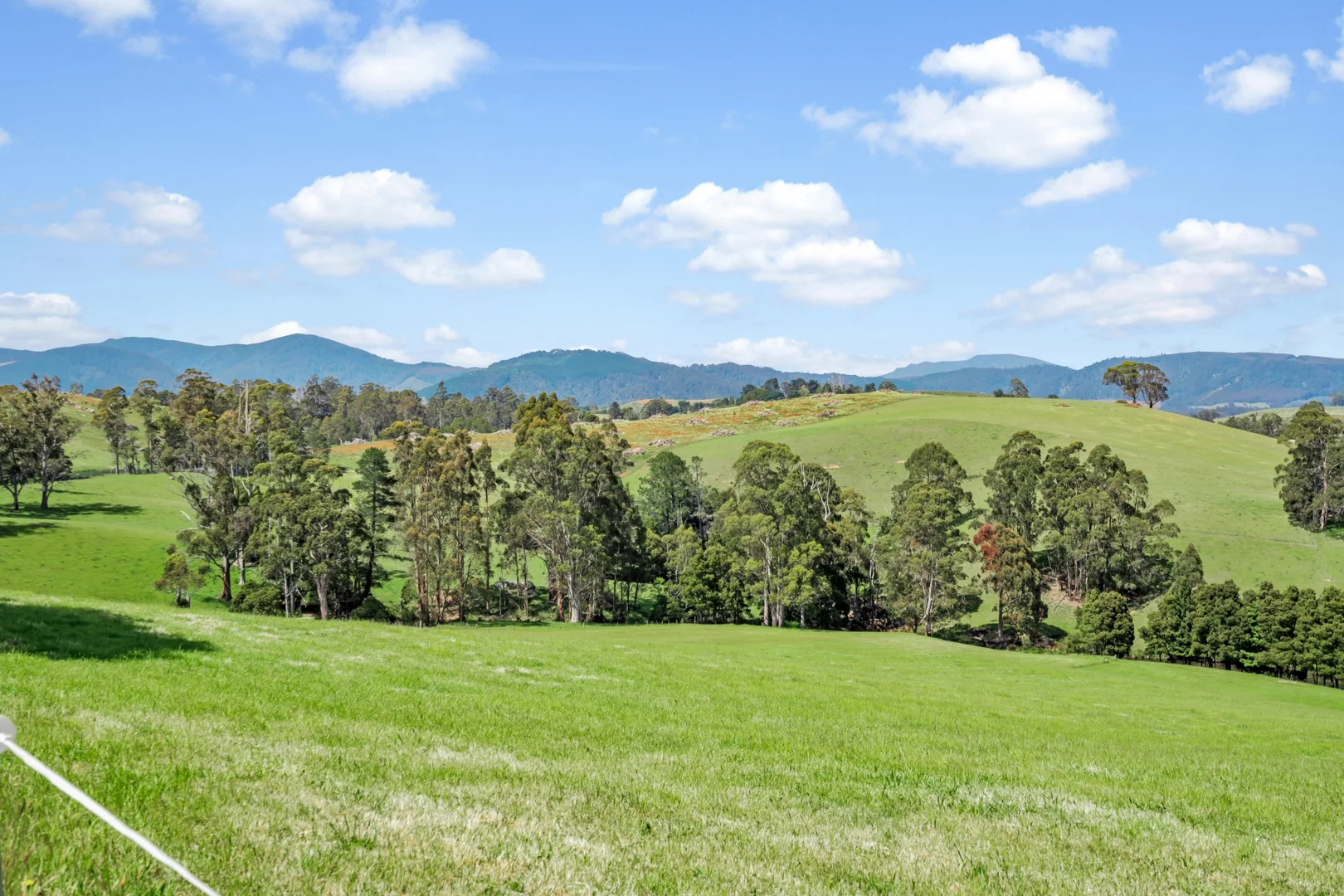 Additional image 19 of 141 Sledge Track, West Scottsdale TAS 7260