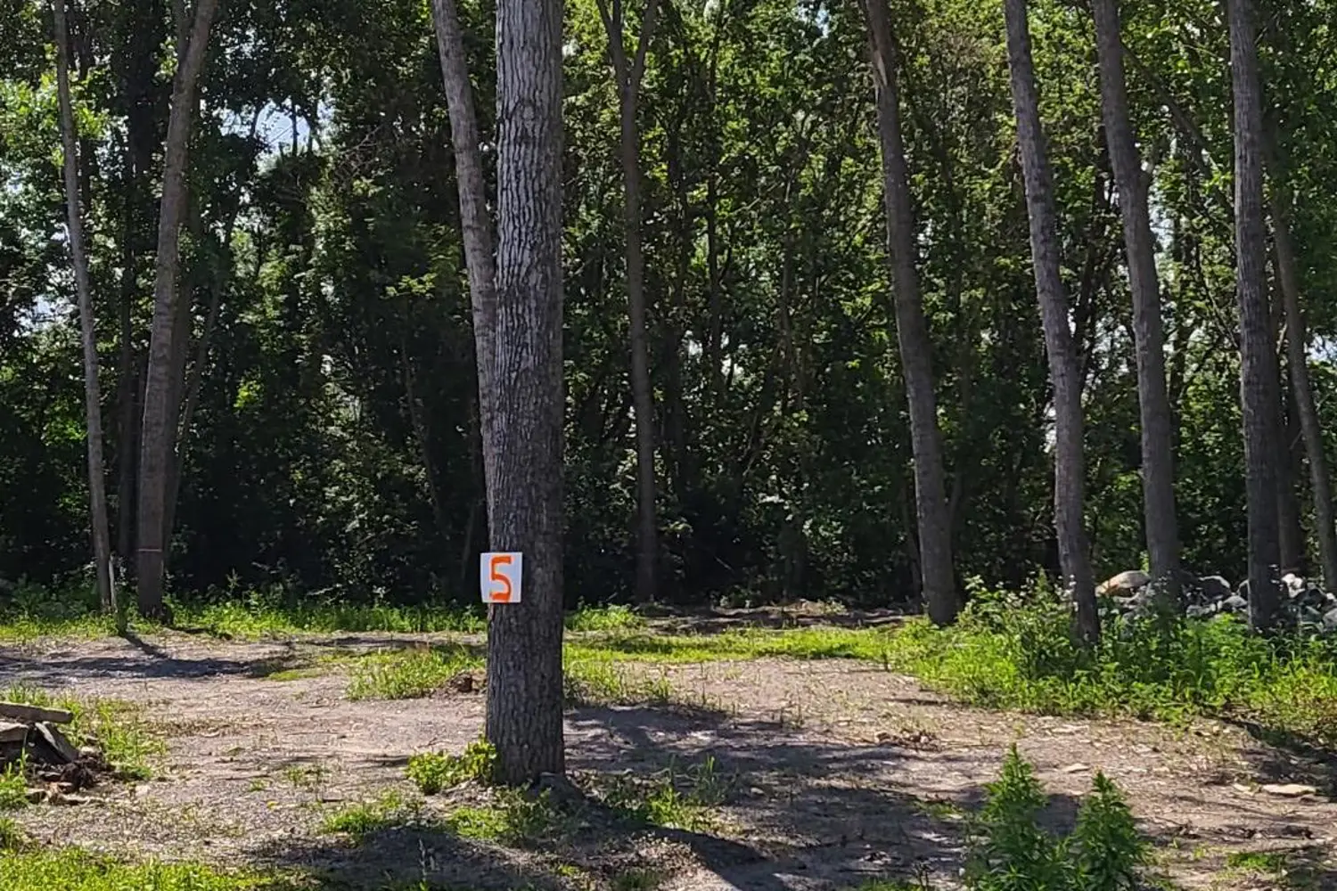 Additional image 5 of Lot 5 Hennessy Street