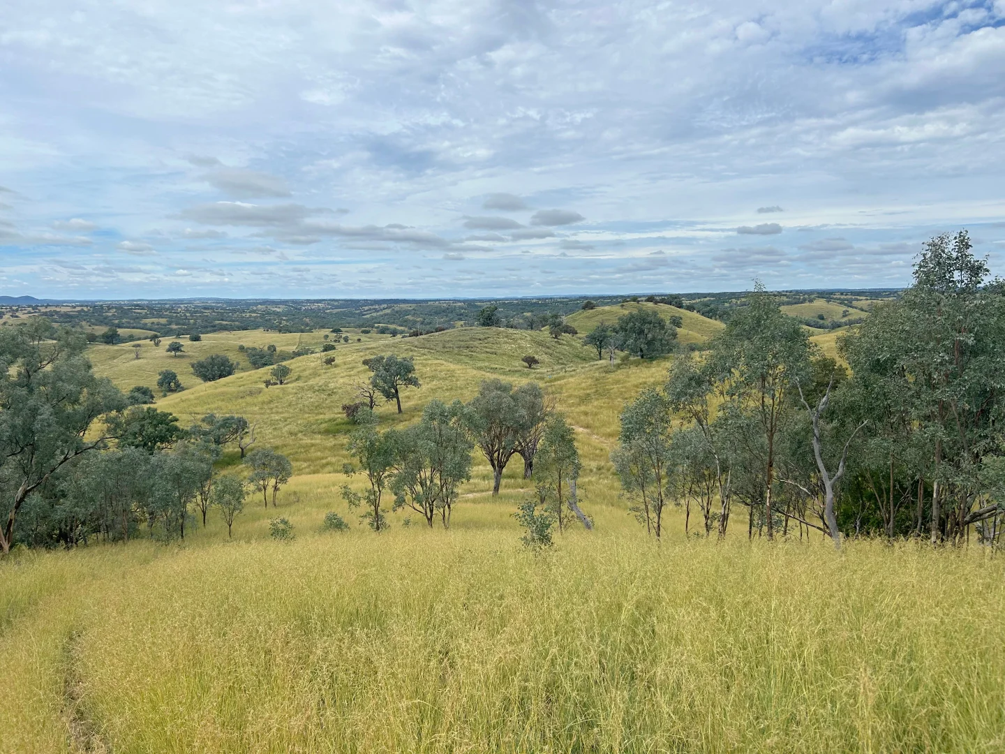 Additional image 16 of 737 Bukkulla Road, Ashford NSW 2361