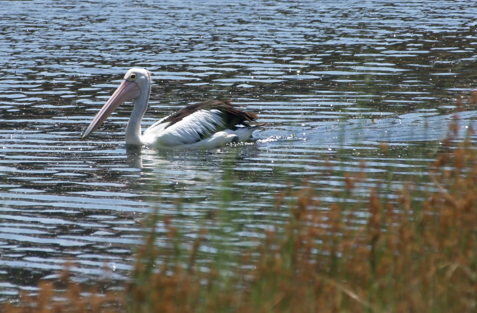 Additional image 21 of 1 The Lough Court, Narre Warren North VIC 3804