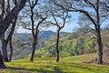 Additional image 31 of 11250 Skaggs Springs Rd, Healdsburg, CA, 95448