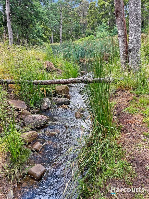 Additional image 41 of 27193 Tasman Highway, Goulds Country TAS 7216