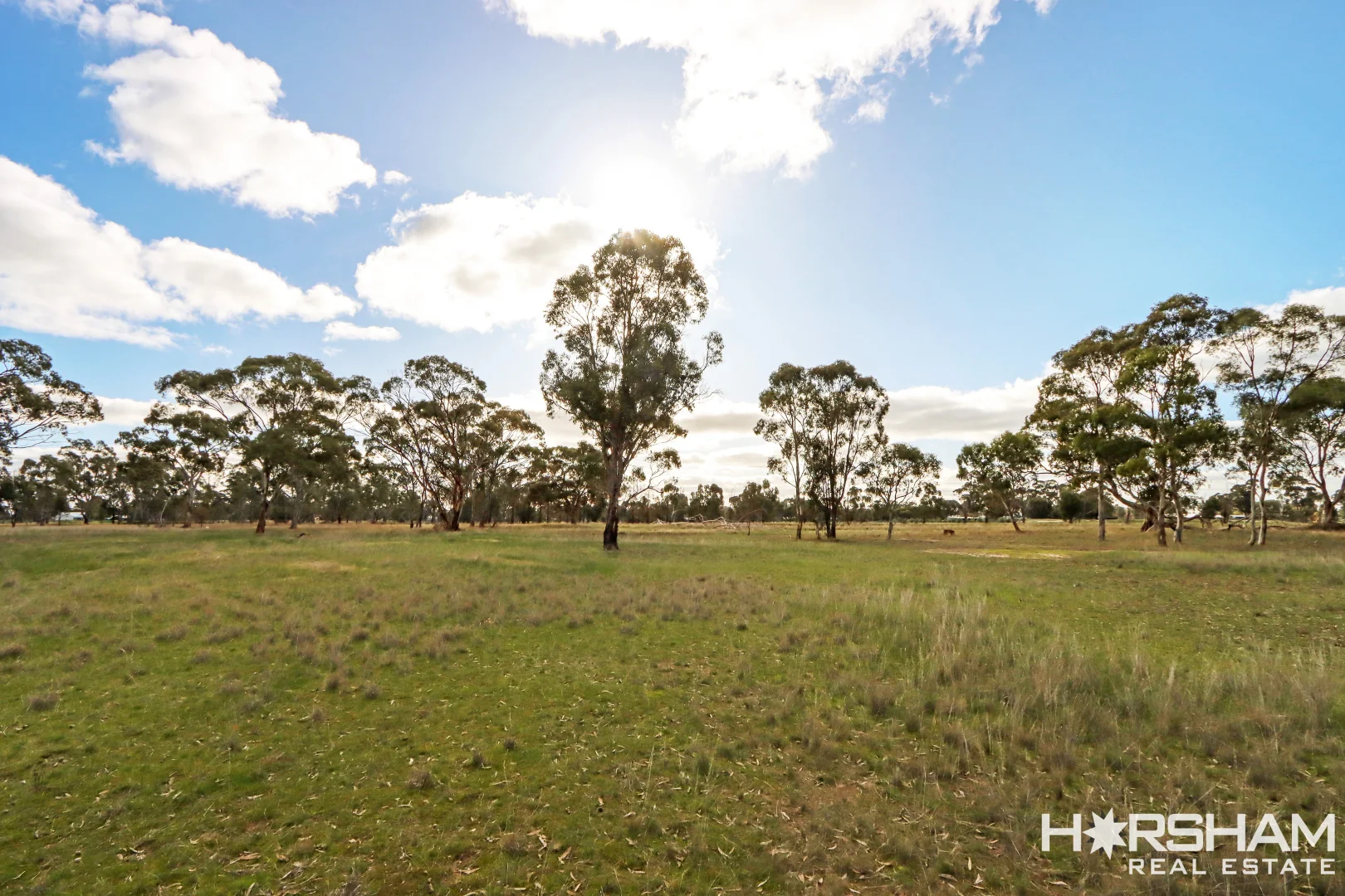 Additional image 23 of 176 Old Hamilton Road, Haven VIC 3401