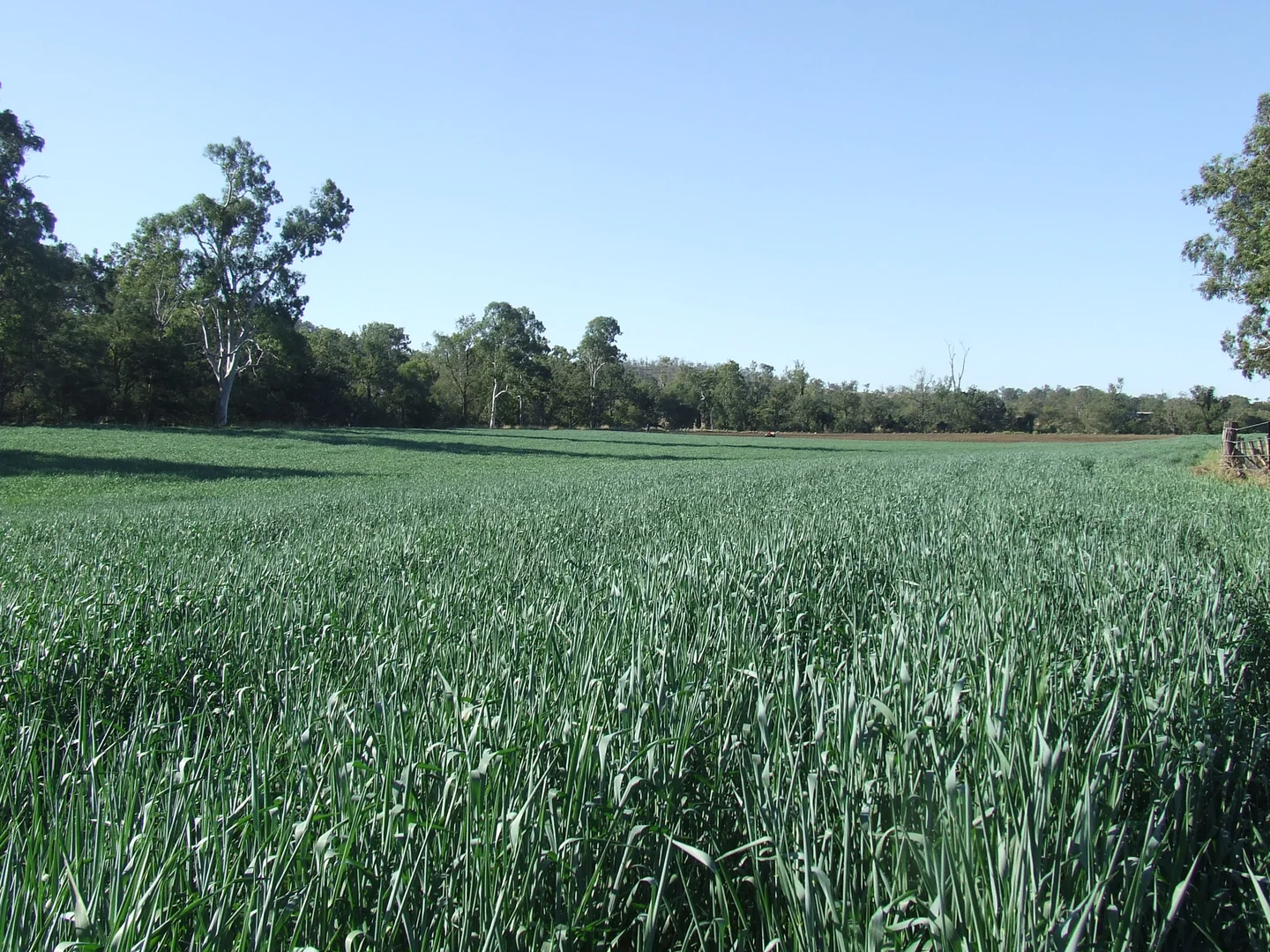 Additional image 12 of 148 Voss Road, Monto QLD 4630