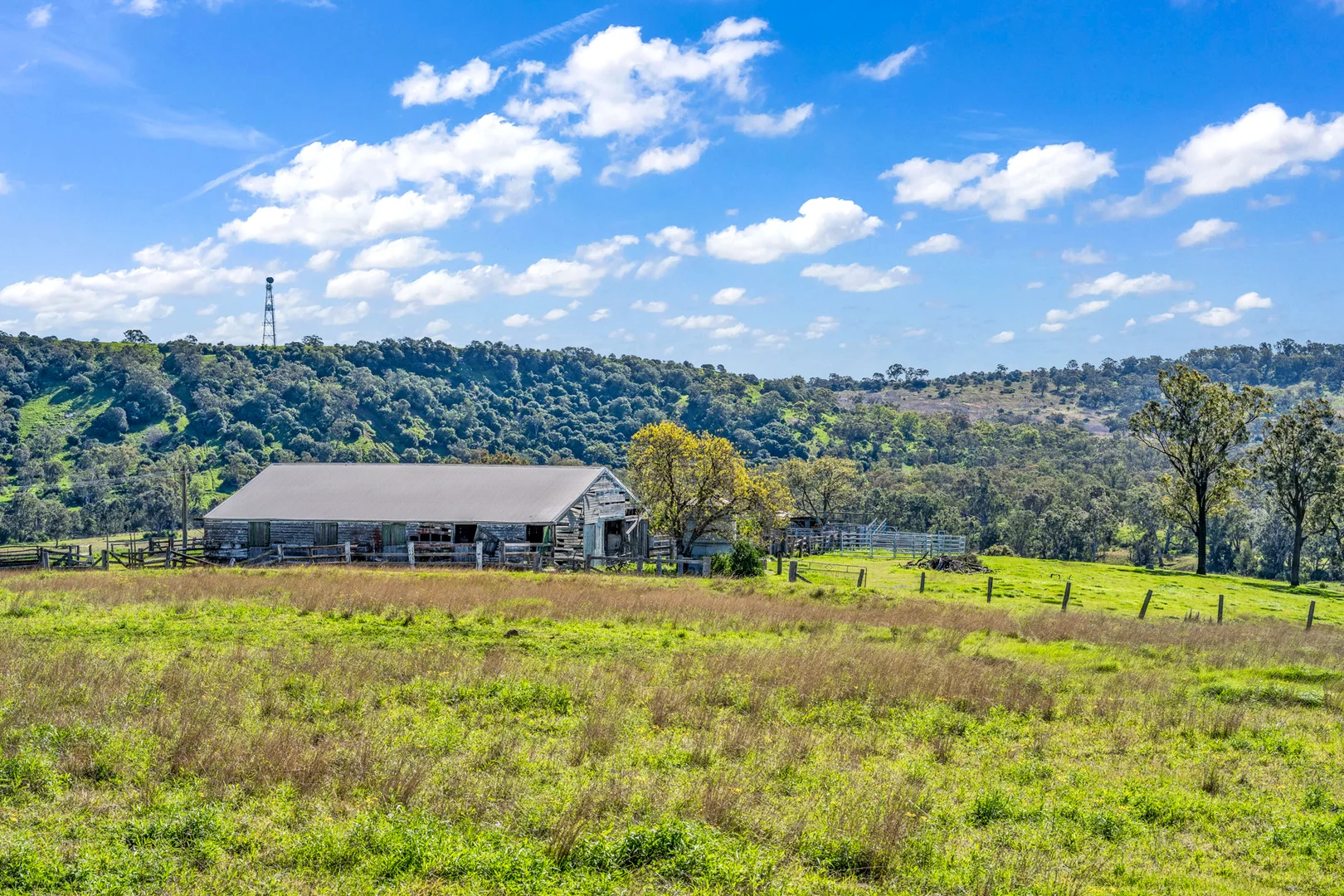 Additional image 21 of Gyarran | 8988 New England Highway, Muswellbrook NSW 2333