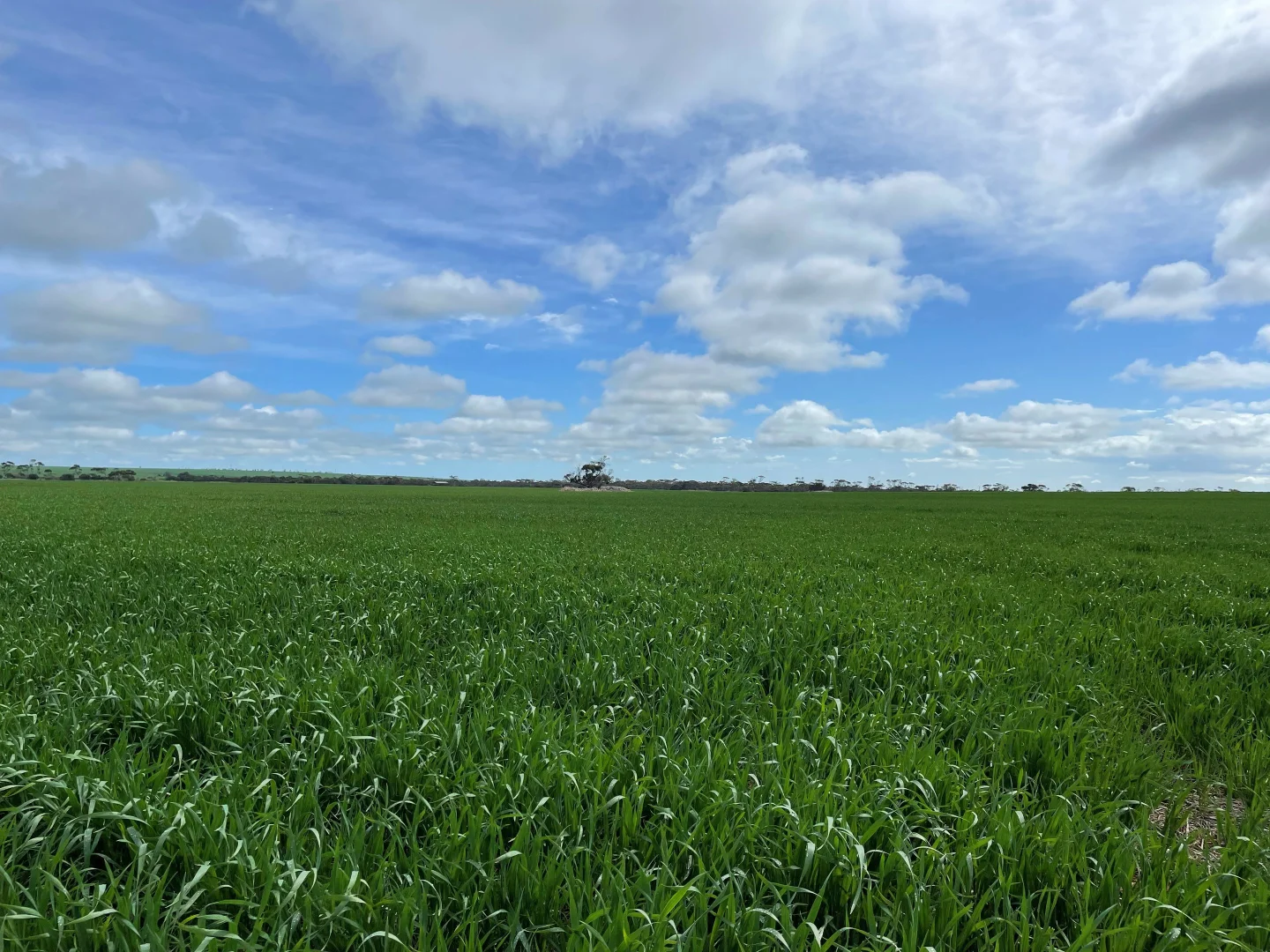 Additional image 3 of 374 Melton Pontifex Rd, Melton SA 5552