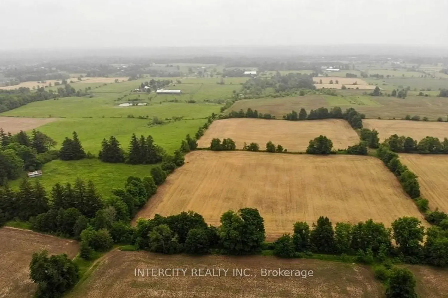 Additional image 4 of 8373 High Way 7