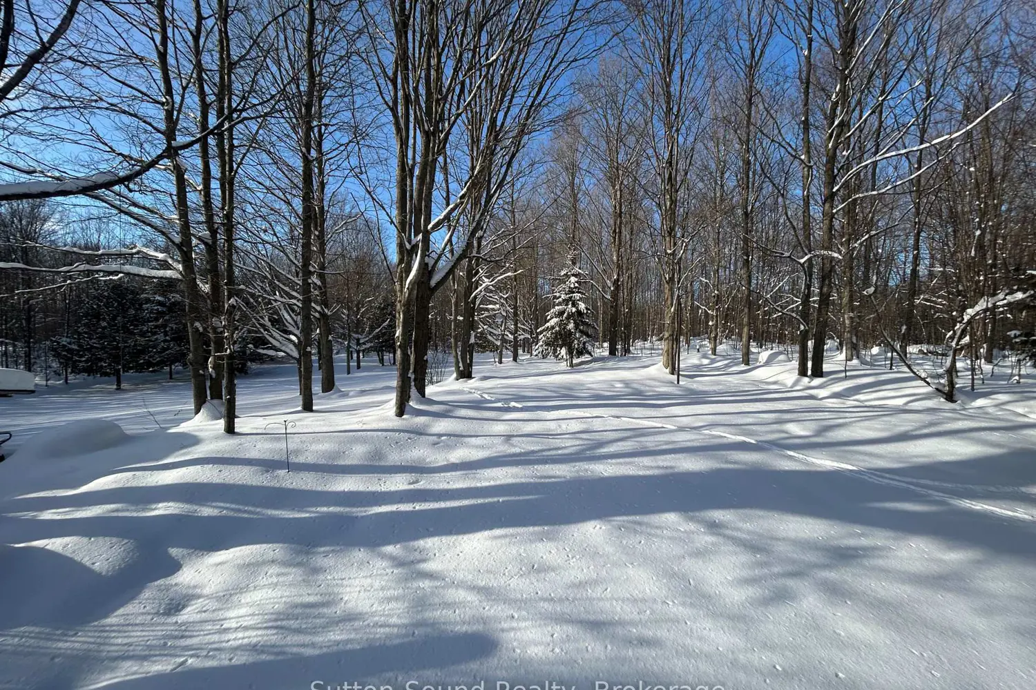 Additional image 17 of 240135 Wilcox Side Road