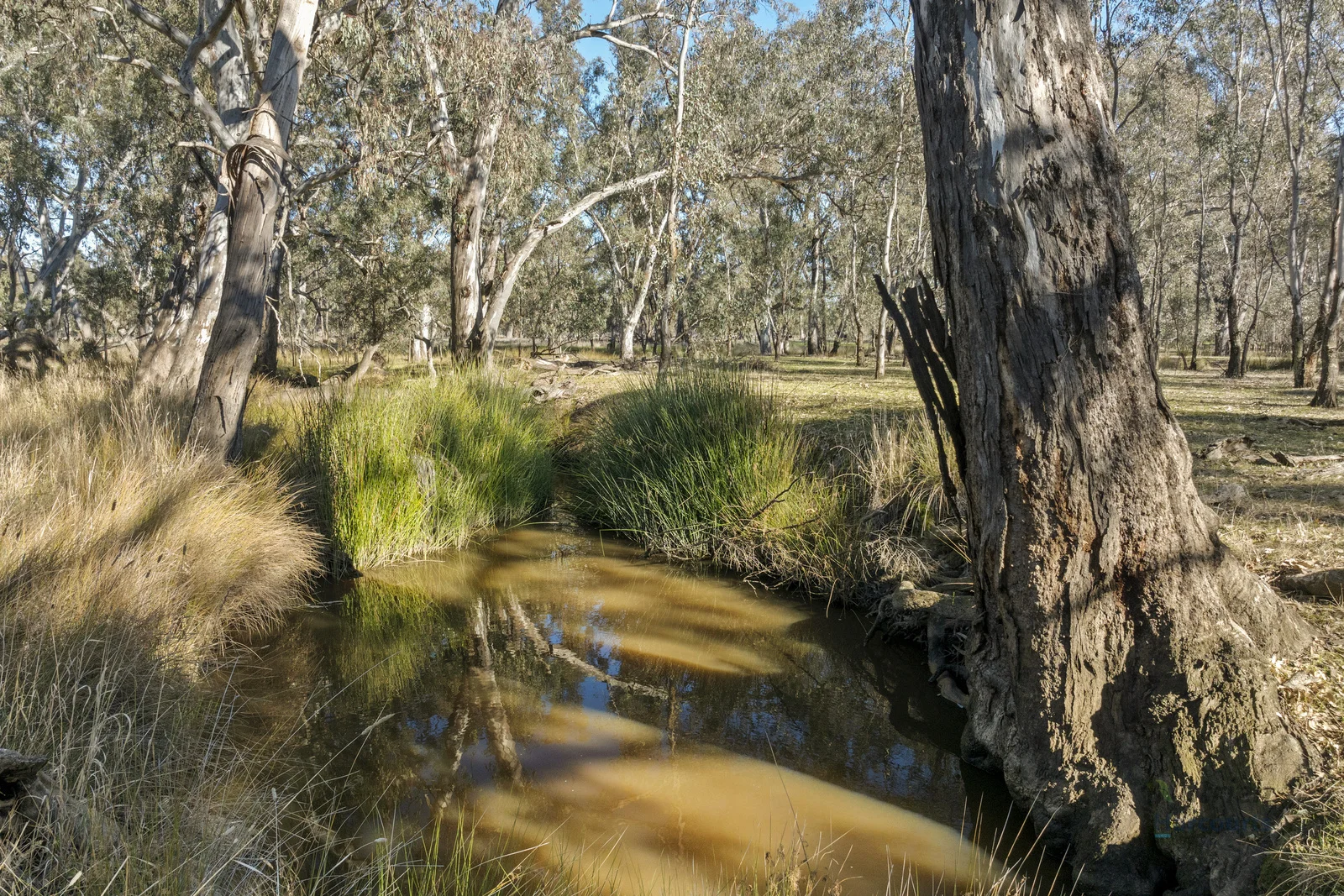 Additional image 23 of CA 64 Cullens Road, Molka VIC 3666