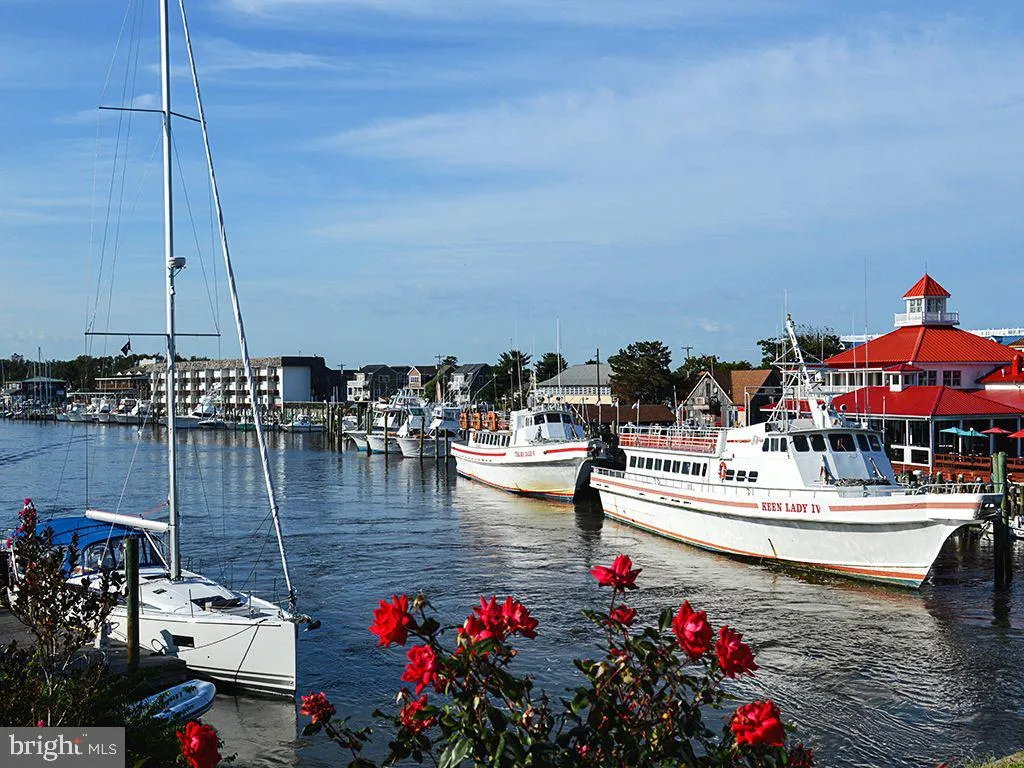 Additional image 31 of 34703 Villa Circle Unit 601, Lewes, DE 19958