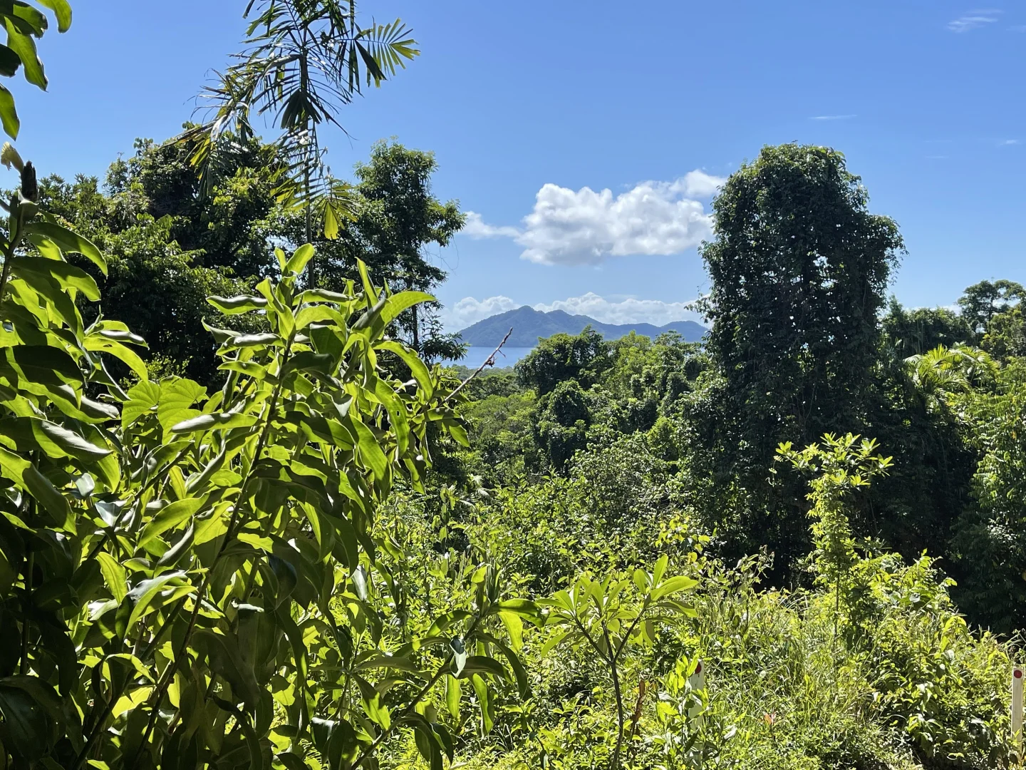 Additional image 16 of 36 Mission Cir, Wongaling Beach QLD 4852