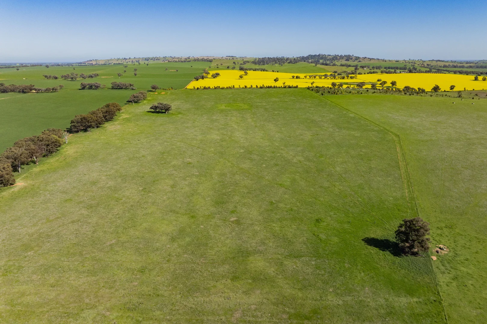 Additional image 65 of 277 Cloughs Road, Yarragundry NSW 2650