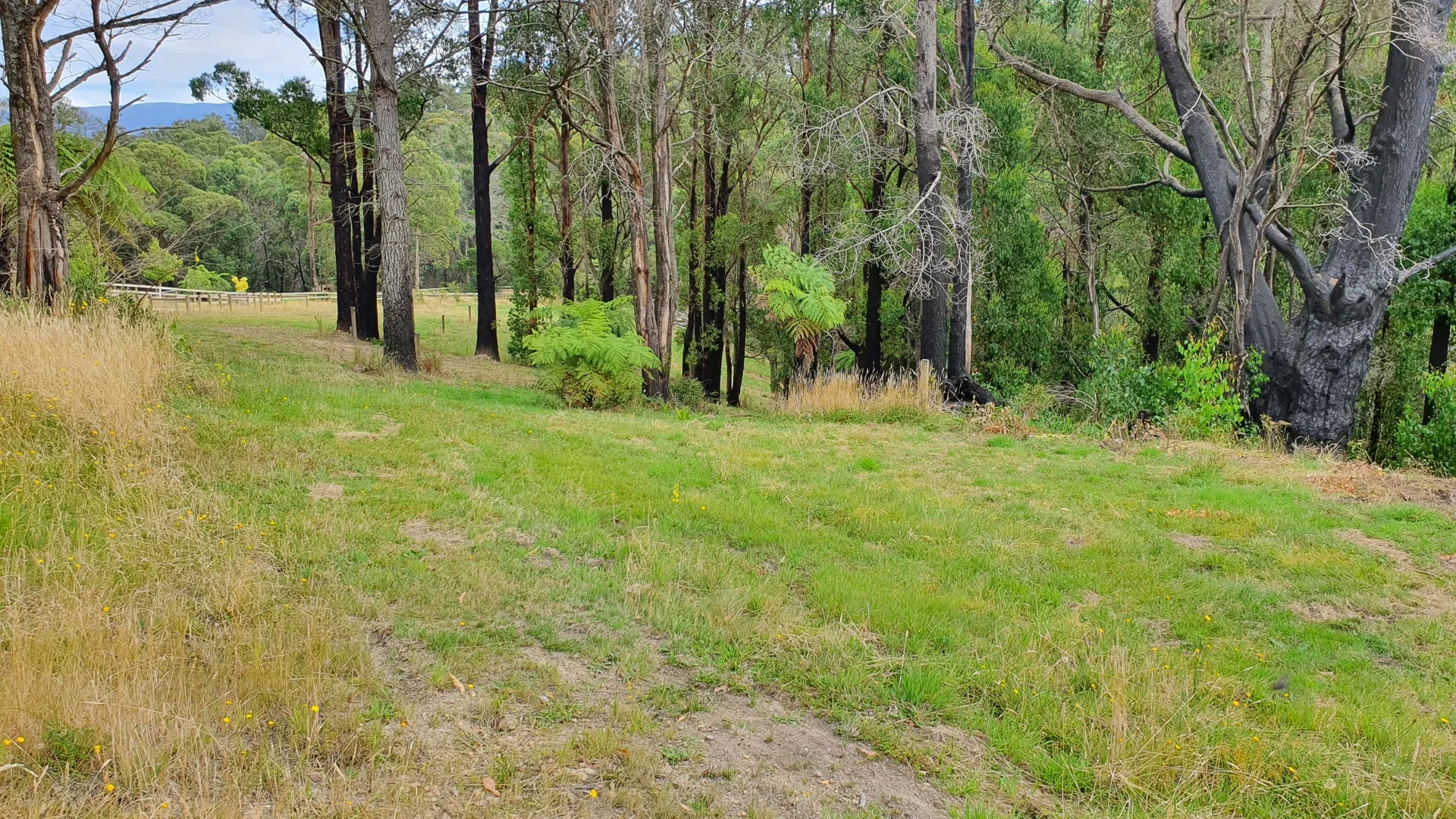 Additional image 11 of 1-12 Happy Go Lucky Road, Walhalla VIC 3825